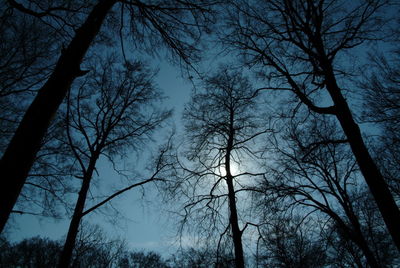Low angle view of silhouette trees against sky at dusk