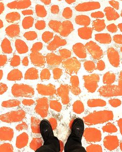 Low section of man standing on red cobblestone