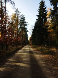 Empty road along trees in forest