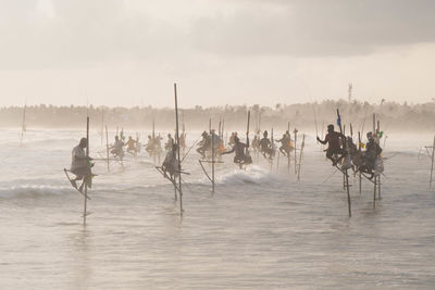 View of horses on beach