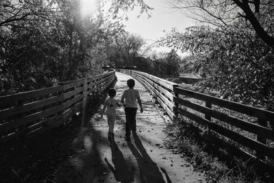 Rear view of siblings walking on boardwalk