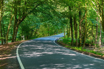 Empty road along trees in forest