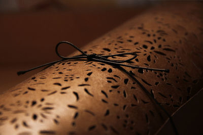 Close-up of tied up brown decoration