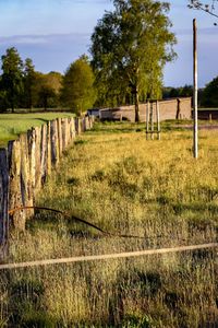 View of fence in field