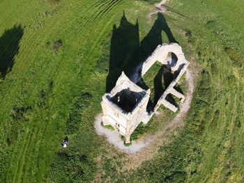 High angle view of carvings on tree in field