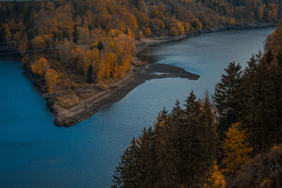 High angle view of river amidst trees in forest during autumn