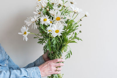 Close-up of hand holding flowering plant against white background