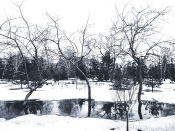 Bare trees on snow covered field
