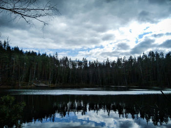 Reflection of trees in lake against sky