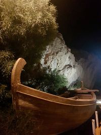 Side view of an abandoned potted plants