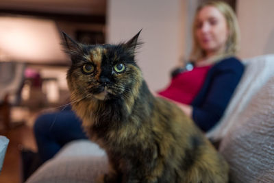 Portrait of mid adult woman sitting by cat on sofa at home