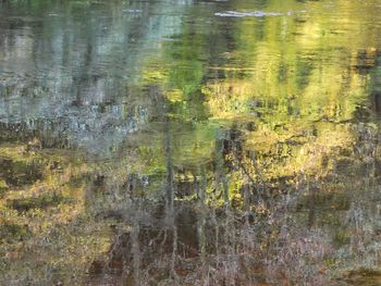 Full frame shot of lake