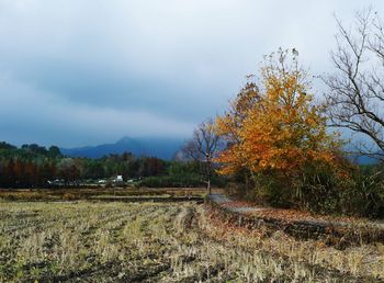 Scenic view of field against sky during autumn