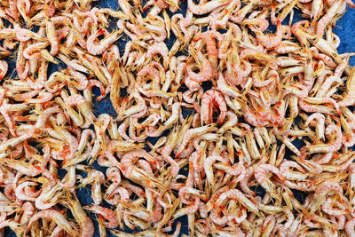 Full frame shot of fish for sale in market