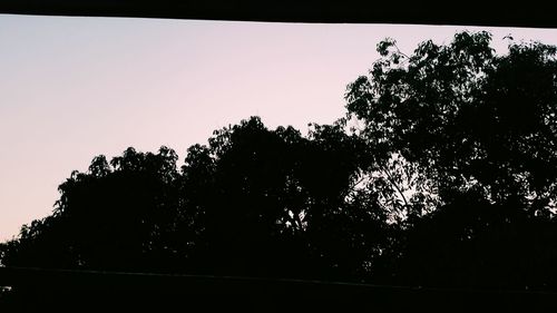 Low angle view of silhouette trees against clear sky