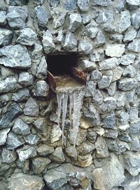 Close-up of insect on wall