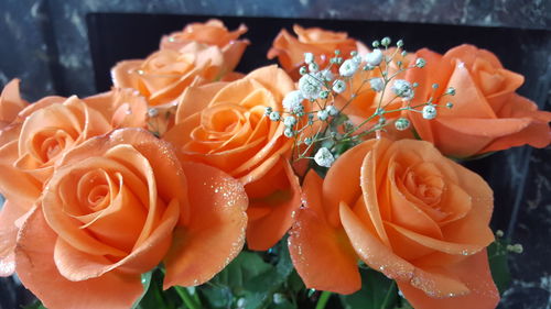 Close-up of orange roses blooming outdoors