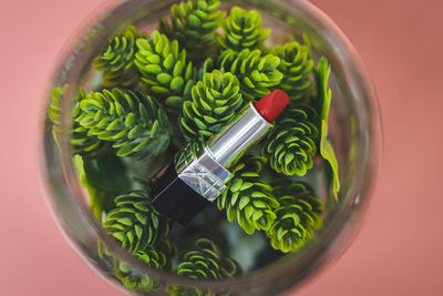 Red lipstick in a flower pot on a peach background.