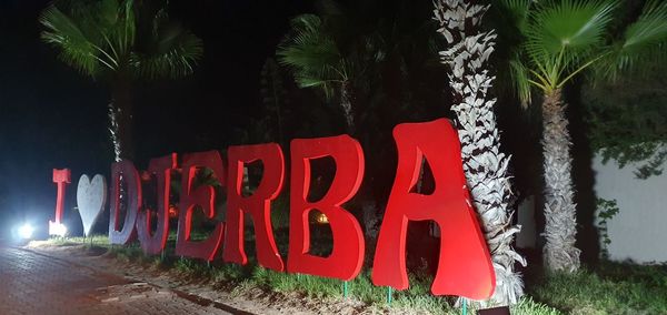 Information sign by palm trees at night