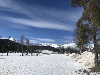 Trees on snow covered field against sky