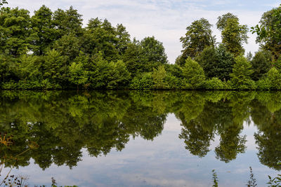 Reflection of trees in lake against sky