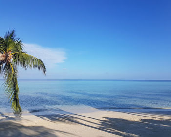 Scenic view of sea against blue sky