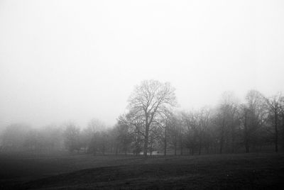 Trees on field against clear sky