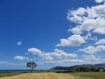 Scenic view of landscape against blue sky