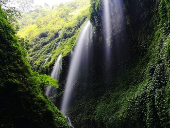 Scenic view of waterfall