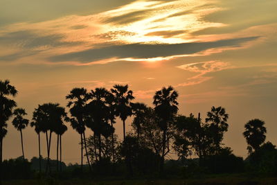 Silhouette trees against sky during sunset