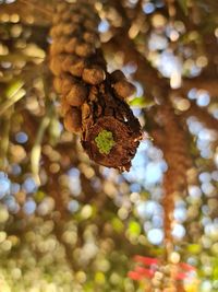 Beautifull mother nature evolving 