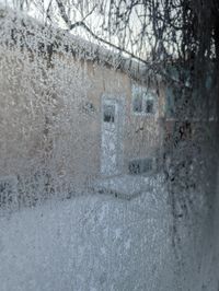 winter