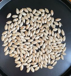 High angle view of blueberries in bowl