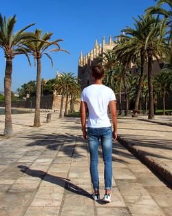 Rear view of man with umbrella walking on palm trees