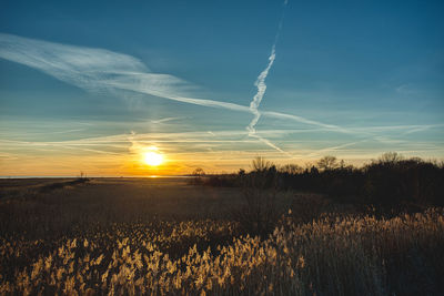 Scenic view of field against sky during sunset