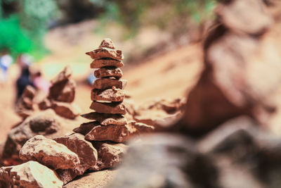 Close-up of pine cone on rock