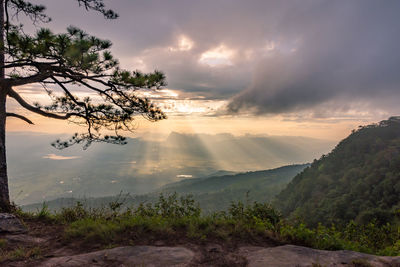 Scenic view of landscape against sky during sunset