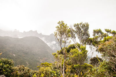 Scenic view of mountains against clear sky