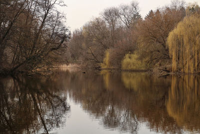 Reflection of trees in lake against sky