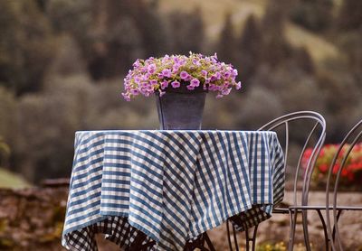 Close-up of pink flower pot on table