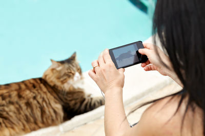 High angle view of woman photographing cat with smart phone