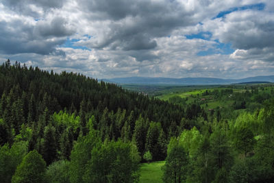 Scenic view of green landscape against sky
