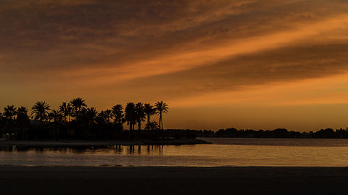 Silhouette palm trees against orange sky