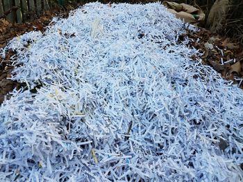 High angle view of garbage in snow