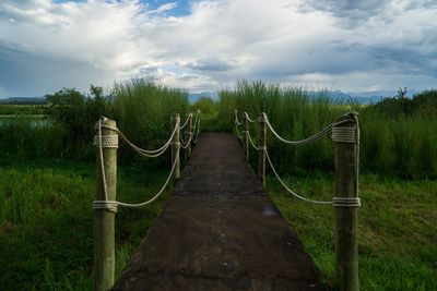 Wooden walkway amidst plants and trees against sky