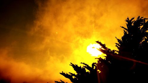 Low angle view of trees against sky at sunset