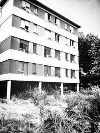 View of building with trees in background