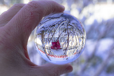 Close-up of person holding glass