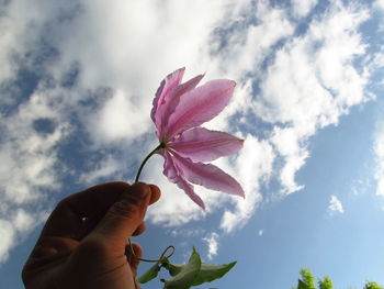 Close-up of hand holding pink flower against sky
