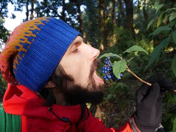 Close-up of man eating berries on plant